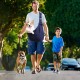 PETCUTE Dog Carry Bag, Transport Bag for Dogs and Small Pets up to 7.5 kg, Dog Sling with Adjustable Secure Shoulder Strap, Front Pocket for Outdoor Walks, Black PETCUTE Dog Carry Bag, Transport Bag for Dogs and Small Pets up to 7.5 kg, Dog Sling with Adjustable Secure Shoulder Strap, Front Pocket for Outdoor Walks, Black
