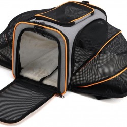 PETCUTE Transport Bag Cat and Dogs, Foldable Cat Transport Box Dog Bag with Removable Mat, Safety Lead, Breathable Transport Bag for Pets in the Car for Travel PETCUTE Transport Bag Cat and Dogs, Foldable Cat Transport Box Dog Bag with Removable Mat, Safety Lead, Breathable Transport Bag for Pets in the Car for Travel