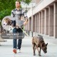 Pet Carrier Bag with Shoulder Strap for Dogs, Belly Dog, Small Dog, Cat Carrier for Outdoor Travel, Blue Pet Carrier Bag with Shoulder Strap for Dogs, Belly Dog, Small Dog, Cat Carrier for Outdoor Travel, Blue