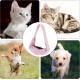 Pet Sling Carrier, Pet Chest Bag for Cats and Small Dogs, Pink Pet Sling Carrier, Pet Chest Bag for Cats and Small Dogs, Pink