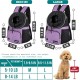 PetAmi Dog Carrier Front Adjustable Backpack for Dogs Pet Cats Chest Bag Ventilated for Hiking Camping Travel Small Medium Dogs Puppies Max 10 lbs Black PetAmi Dog Carrier Front Adjustable Backpack for Dogs Pet Cats Chest Bag Ventilated for Hiking Camping Travel Small Medium Dogs Puppies Max 10 lbs Black