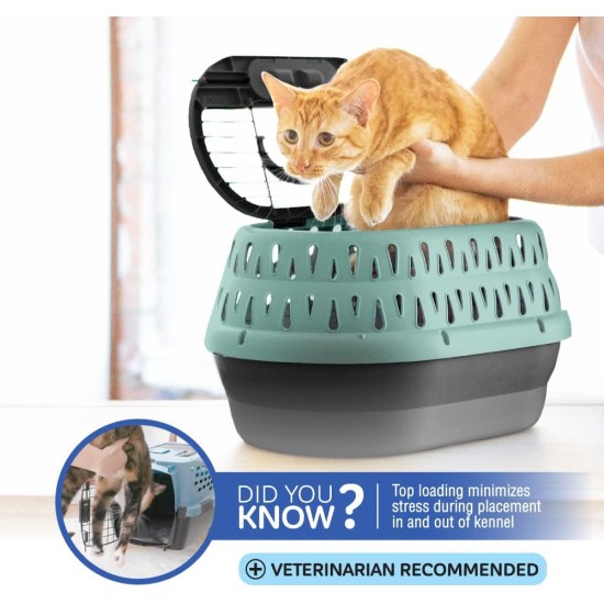 Petmate 2-Door Top Load Kennel for Cats, 19-Inch Petmate 2-Door Top Load Kennel for Cats, 19-Inch
