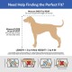 Petmate 2-Door Top Load Kennel for Cats, 19-Inch Petmate 2-Door Top Load Kennel for Cats, 19-Inch