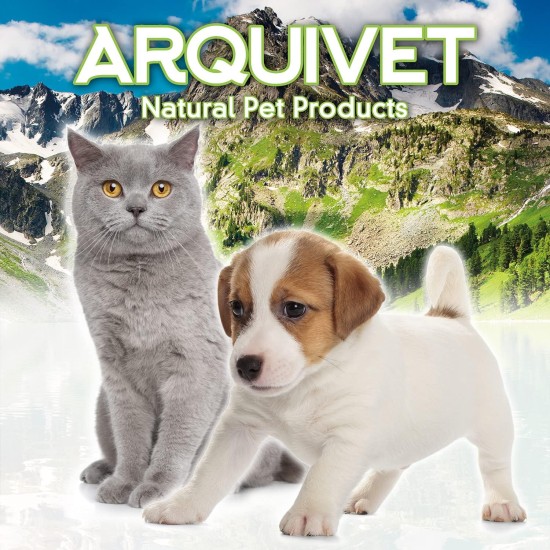 Plastic Pet Carrier 59 x 36 x 33 cm, Small or Medium Dogs and Cats, Large Rodents - Transport Box for Train and Car Plastic Pet Carrier 59 x 36 x 33 cm, Small or Medium Dogs and Cats, Large Rodents - Transport Box for Train and Car
