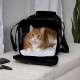 Sherpa Genuine Deluxe Pet Carrier - Airline Approved and Guaranteed on Board - Charcoal Grey, Small Sherpa Genuine Deluxe Pet Carrier - Airline Approved and Guaranteed on Board - Charcoal Grey, Small