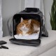 Sherpa Genuine Deluxe Pet Carrier - Airline Approved and Guaranteed on Board - Charcoal Grey, Small Sherpa Genuine Deluxe Pet Carrier - Airline Approved and Guaranteed on Board - Charcoal Grey, Small
