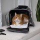 Sherpa Genuine Deluxe Pet Carrier - Airline Approved and Guaranteed on Board - Charcoal Grey, Small Sherpa Genuine Deluxe Pet Carrier - Airline Approved and Guaranteed on Board - Charcoal Grey, Small