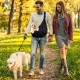 Shoulder Bag for Pets, Adjustable Pet Sling for Dogs, Reversible Small Dog Carrier up to 7 kg, Dog Carry Bag for Walks and Outdoor Activities (Dark Blue) Shoulder Bag for Pets, Adjustable Pet Sling for Dogs, Reversible Small Dog Carrier up to 7 kg, Dog Carry Bag for Walks and Outdoor Activities (Dark Blue)