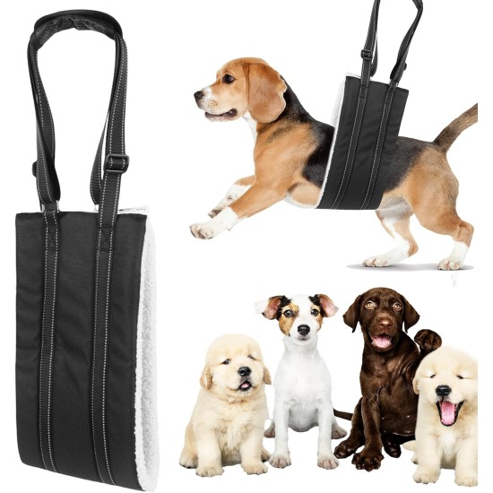 Sporgo Adjustable Dog Carrier: Portable Dog Rehabilitation Carry Strap, Safety Support for Disabled, Injured or Elderly Dogs, Walking Aid with Handles for Small Medium Dogs Sporgo Adjustable Dog Carrier: Portable Dog Rehabilitation Carry Strap, Safety Support for Disabled, Injured or Elderly Dogs, Walking Aid with Handles for Small Medium Dogs