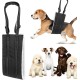 Sporgo Adjustable Dog Carrier: Portable Dog Rehabilitation Carry Strap, Safety Support for Disabled, Injured or Elderly Dogs, Walking Aid with Handles for Small Medium Dogs Sporgo Adjustable Dog Carrier: Portable Dog Rehabilitation Carry Strap, Safety Support for Disabled, Injured or Elderly Dogs, Walking Aid with Handles for Small Medium Dogs