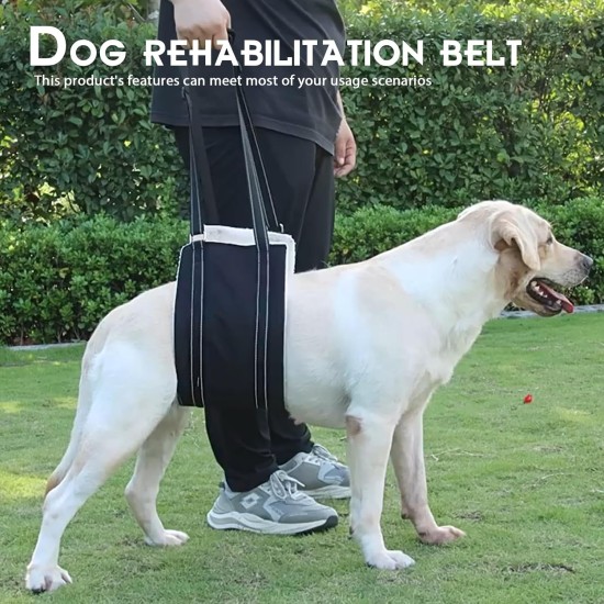 Sporgo Adjustable Dog Carrier: Portable Dog Rehabilitation Carry Strap, Safety Support for Disabled, Injured or Elderly Dogs, Walking Aid with Handles for Small Medium Dogs Sporgo Adjustable Dog Carrier: Portable Dog Rehabilitation Carry Strap, Safety Support for Disabled, Injured or Elderly Dogs, Walking Aid with Handles for Small Medium Dogs