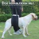 Sporgo Adjustable Dog Carrier: Portable Dog Rehabilitation Carry Strap, Safety Support for Disabled, Injured or Elderly Dogs, Walking Aid with Handles for Small Medium Dogs Sporgo Adjustable Dog Carrier: Portable Dog Rehabilitation Carry Strap, Safety Support for Disabled, Injured or Elderly Dogs, Walking Aid with Handles for Small Medium Dogs