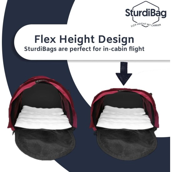 SturdiBag XL Pet Travel Carrier - Flexible Height for Cats and Dogs, Soft Sides with Safety Clips and Seat Belts, Purple, 20" x 16" x 12" (PN: SB3-PRO-P) SturdiBag XL Pet Travel Carrier - Flexible Height for Cats and Dogs, Soft Sides with Safety Clips and Seat Belts, Purple, 20" x 16" x 12" (PN: SB3-PRO-P)