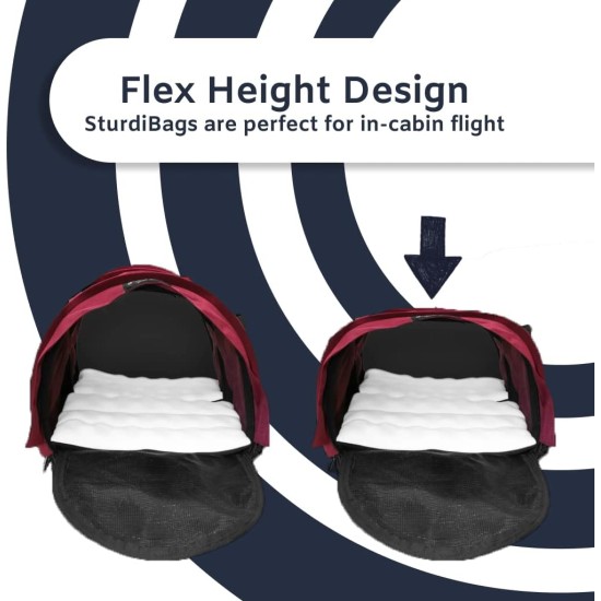 SturdiBag XL Pet Travel Carrier - Flexible Height for Cats and Dogs, Soft Sides with Safety Clips and Seat Belts, Purple, 20" x 16" x 12" (PN: SB3-PRO-P) SturdiBag XL Pet Travel Carrier - Flexible Height for Cats and Dogs, Soft Sides with Safety Clips and Seat Belts, Purple, 20" x 16" x 12" (PN: SB3-PRO-P)