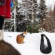 TIANLIN Dog Carrier Sling for Dogs, Cat Sling with Hanging Buckle and Side Pocket, Maximum Load Capacity 7.5 kg TIANLIN Dog Carrier Sling for Dogs, Cat Sling with Hanging Buckle and Side Pocket, Maximum Load Capacity 7.5 kg