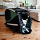 Thule Bexey Hazy Green Bicycle Trailer for Dogs Medium Thule Bexey Hazy Green Bicycle Trailer for Dogs Medium