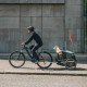 Thule Bexey Hazy Green Bicycle Trailer for Dogs Medium Thule Bexey Hazy Green Bicycle Trailer for Dogs Medium