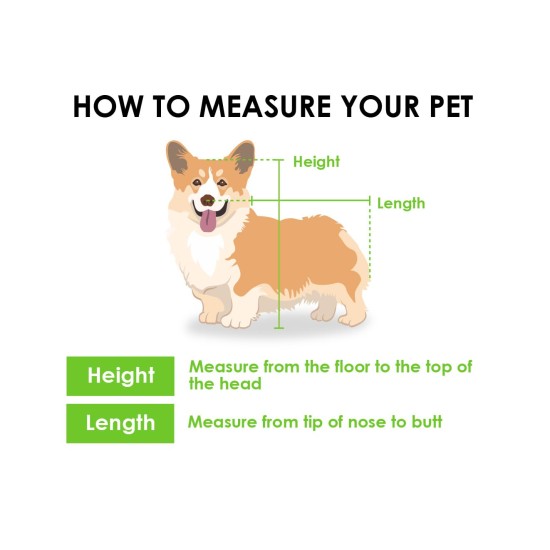 Trailblazer Jogger Dog Stroller for Medium Pets, Ventilated Pet Stroller for Cats and Dogs, Neptune Trailblazer Jogger Dog Stroller for Medium Pets, Ventilated Pet Stroller for Cats and Dogs, Neptune