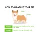 Trailblazer Jogger Dog Stroller for Medium Pets, Ventilated Pet Stroller for Cats and Dogs, Neptune Trailblazer Jogger Dog Stroller for Medium Pets, Ventilated Pet Stroller for Cats and Dogs, Neptune