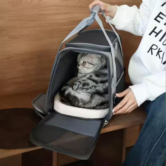 Transporttasche für Katzen, Transporttasche für Hunde, Transportbox für Katzen mit verstellbarem Schultergurt, Matratze für Katzen und kleine Hunde Transporttasche für Katzen, Transporttasche für Hunde, Transportbox für Katzen mit verstellbarem Schultergurt, Matratze für Katzen und kleine Hunde