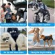 Wakytu Dog Lifting Harness for Large Dogs, Emergency Backpack, Dog Carry Bag for Disabled, Joint Injuries, Older Dogs Up and Down Stairs, Cars Dog Sling (66-88 lbs) Wakytu Dog Lifting Harness for Large Dogs, Emergency Backpack, Dog Carry Bag for Disabled, Joint Injuries, Older Dogs Up and Down Stairs, Cars Dog Sling (66-88 lbs)