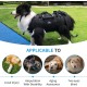 Wakytu Dog Lifting Harness for Large Dogs, Emergency Backpack, Dog Carry Bag for Disabled, Joint Injuries, Older Dogs Up and Down Stairs, Cars Dog Sling (66-88 lbs) Wakytu Dog Lifting Harness for Large Dogs, Emergency Backpack, Dog Carry Bag for Disabled, Joint Injuries, Older Dogs Up and Down Stairs, Cars Dog Sling (66-88 lbs)