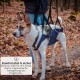 Wanderpfote Carrying Aid for Dogs - Emergency Backpack for Hiking or Carry Bag Dog in Everyday Life by Stairs - Small, Lightweight, Robust, High Quality - Sling Dog, Dog Bag (M) Wanderpfote Carrying Aid for Dogs - Emergency Backpack for Hiking or Carry Bag Dog in Everyday Life by Stairs - Small, Lightweight, Robust, High Quality - Sling Dog, Dog Bag (M)