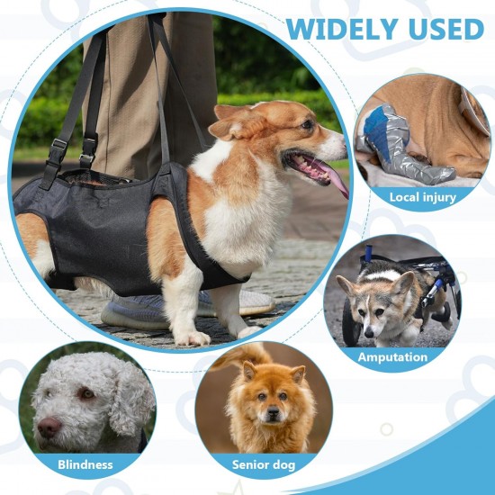 YushengTai Dog Carrying Aid, Carrying Harness, Dog Lifting Harness, Dog Backpack up to 15 kg, Dog Carrier Strap, Carrying Harness for Dogs, Pet Support, for Disabled, Injured and Elderly Dogs YushengTai Dog Carrying Aid, Carrying Harness, Dog Lifting Harness, Dog Backpack up to 15 kg, Dog Carrier Strap, Carrying Harness for Dogs, Pet Support, for Disabled, Injured and Elderly Dogs