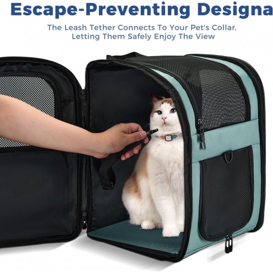 apollo walker Pet Carrier Backpack for Large/Small Cats and Dogs, Puppies, Safety Features and Cushion Back Support | for Travel, Hiking, Outdoor Use (Grey) apollo walker Pet Carrier Backpack for Large/Small Cats and Dogs, Puppies, Safety Features and Cushion Back Support | for Travel, Hiking, Outdoor Use (Grey)