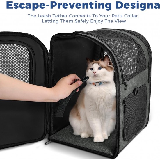 apollo walker Pet Carrier Backpack for Large/Small Cats and Dogs, Puppies, Safety Features and Cushion Back Support | for Travel, Hiking, Outdoor Use (Grey) apollo walker Pet Carrier Backpack for Large/Small Cats and Dogs, Puppies, Safety Features and Cushion Back Support | for Travel, Hiking, Outdoor Use (Grey)
