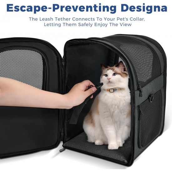 apollo walker Pet Carrier Backpack for Large/Small Cats and Dogs, Puppies, Safety Features and Cushion Back Support | for Travel, Hiking, Outdoor Use (Grey) apollo walker Pet Carrier Backpack for Large/Small Cats and Dogs, Puppies, Safety Features and Cushion Back Support | for Travel, Hiking, Outdoor Use (Grey)