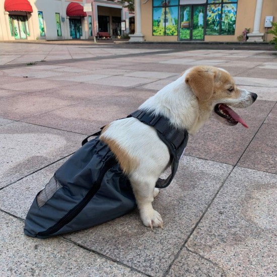 derYEP Dog Bag Indoor Durable Paralyzed Disabled Back Hind Legs Protect Chest and Limbs (XXS) derYEP Dog Bag Indoor Durable Paralyzed Disabled Back Hind Legs Protect Chest and Limbs (XXS)