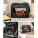 lionto Foldable Dog Transport Box for Travel and Car, 50 x 34 x 36 cm, Sturdy Transport Box, Carry Handles and Blanket for Cats, Dogs up to 10 kg, Robust Fabric Dog Box, Black lionto Foldable Dog Transport Box for Travel and Car, 50 x 34 x 36 cm, Sturdy Transport Box, Carry Handles and Blanket for Cats, Dogs up to 10 kg, Robust Fabric Dog Box, Black