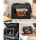 lionto Foldable Dog Transport Box for Travel and Car, 50 x 34 x 36 cm, Sturdy Transport Box, Carry Handles and Blanket for Cats, Dogs up to 10 kg, Robust Fabric Dog Box, Grey lionto Foldable Dog Transport Box for Travel and Car, 50 x 34 x 36 cm, Sturdy Transport Box, Carry Handles and Blanket for Cats, Dogs up to 10 kg, Robust Fabric Dog Box, Grey