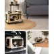 lionto Foldable Dog Transport Box for Travel and Car, 60 x 42 x 44 cm, Sturdy Transport Box, Carry Handles and Blanket for Cats, Dogs up to 12 kg, Robust Fabric Dog Box, Black lionto Foldable Dog Transport Box for Travel and Car, 60 x 42 x 44 cm, Sturdy Transport Box, Carry Handles and Blanket for Cats, Dogs up to 12 kg, Robust Fabric Dog Box, Black