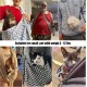 vrbabies Dog Carrier Bag, Dog Bag for Small Dogs and Other Pets, 5 kg, Dog Sling Dog Adjustable, Perfect for Walking, Outdoor Activities, Excursions (Dark Grey Mesh) vrbabies Dog Carrier Bag, Dog Bag for Small Dogs and Other Pets, 5 kg, Dog Sling Dog Adjustable, Perfect for Walking, Outdoor Activities, Excursions (Dark Grey Mesh)