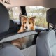 Avilia Car Separation Net for Dogs - Barrier for Dogs with 3 Pockets Polyester 60 x 70 cm Avilia Car Separation Net for Dogs - Barrier for Dogs with 3 Pockets Polyester 60 x 70 cm