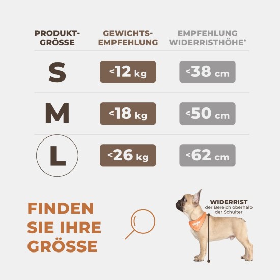 Extra Stable Dog Car Seat – Reinforced Car Seat for Small and Medium Dogs with 4 Attachment Straps – High Quality and Waterproof Dog Car Seat for the Back Seat in the Car (M-Size, Grey) Extra Stable Dog Car Seat – Reinforced Car Seat for Small and Medium Dogs with 4 Attachment Straps – High Quality and Waterproof Dog Car Seat for the Back Seat in the Car (M-Size, Grey)