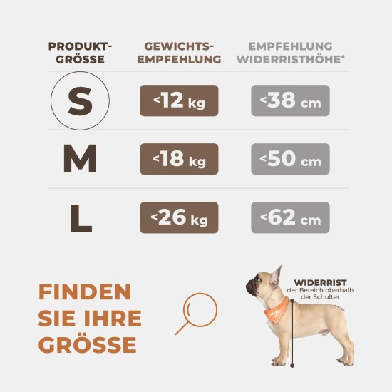 Extra Stable Dog Car Seat – Reinforced Car Seat for Small and Medium Dogs with 4 Attachment Straps – High Quality and Waterproof Dog Car Seat for the Back Seat in the Car (M-Size, Grey) Extra Stable Dog Car Seat – Reinforced Car Seat for Small and Medium Dogs with 4 Attachment Straps – High Quality and Waterproof Dog Car Seat for the Back Seat in the Car (M-Size, Grey)