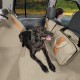 Kurgo Car Seat Cover for Pets, Dog Blanket for Car Rear Seat, Dog Hammock for Car, Protective Blanket Car Rear Seat, Water-Repellent, Reversible, Dog Blanket for Car, Truck And SUV, 140 cm Wide Kurgo Car Seat Cover for Pets, Dog Blanket for Car Rear Seat, Dog Hammock for Car, Protective Blanket Car Rear Seat, Water-Repellent, Reversible, Dog Blanket for Car, Truck And SUV, 140 cm Wide