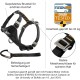 Kurgo Enhanced Tru-Fit Dog Harness, Crash Tested, Car Seat Tether, for Dogs Weighing 34 to 47 kg, Size XL, Black Kurgo Enhanced Tru-Fit Dog Harness, Crash Tested, Car Seat Tether, for Dogs Weighing 34 to 47 kg, Size XL, Black
