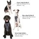 Kurgo Enhanced Tru-Fit Dog Harness, Crash Tested, Car Seat Tether, for Dogs Weighing 34 to 47 kg, Size XL, Black Kurgo Enhanced Tru-Fit Dog Harness, Crash Tested, Car Seat Tether, for Dogs Weighing 34 to 47 kg, Size XL, Black