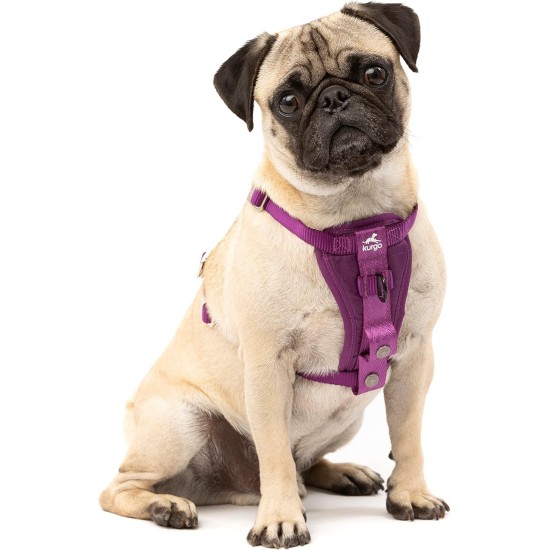 Kurgo Enhanced Tru-Fit Dog Harness, Crash Tested, Car Seat Tether, for Dogs Weighing 34 to 47 kg, Size XL, Black Kurgo Enhanced Tru-Fit Dog Harness, Crash Tested, Car Seat Tether, for Dogs Weighing 34 to 47 kg, Size XL, Black