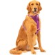 Kurgo Enhanced Tru-Fit Dog Harness, Crash Tested, Car Seat Tether, for Dogs Weighing 34 to 47 kg, Size XL, Black Kurgo Enhanced Tru-Fit Dog Harness, Crash Tested, Car Seat Tether, for Dogs Weighing 34 to 47 kg, Size XL, Black