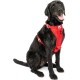 Kurgo Enhanced Tru-Fit Dog Harness, Crash Tested, Car Seat Tether, for Dogs Weighing 34 to 47 kg, Size XL, Black Kurgo Enhanced Tru-Fit Dog Harness, Crash Tested, Car Seat Tether, for Dogs Weighing 34 to 47 kg, Size XL, Black