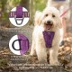 Kurgo Enhanced Tru-Fit Dog Harness, Crash Tested, Car Seat Tether, for Dogs Weighing 34 to 47 kg, Size XL, Black Kurgo Enhanced Tru-Fit Dog Harness, Crash Tested, Car Seat Tether, for Dogs Weighing 34 to 47 kg, Size XL, Black