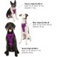 Kurgo Enhanced Tru-Fit Dog Harness, Crash Tested, Car Seat Tether, for Dogs Weighing 34 to 47 kg, Size XL, Black Kurgo Enhanced Tru-Fit Dog Harness, Crash Tested, Car Seat Tether, for Dogs Weighing 34 to 47 kg, Size XL, Black