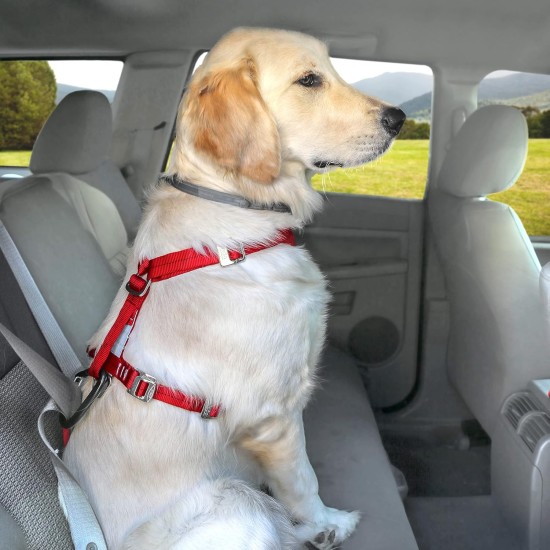Kurgo Enhanced Tru-Fit Dog Harness, Crash Tested, Car Seat Tether, for Dogs Weighing 34 to 47 kg, Size XL, Black Kurgo Enhanced Tru-Fit Dog Harness, Crash Tested, Car Seat Tether, for Dogs Weighing 34 to 47 kg, Size XL, Black
