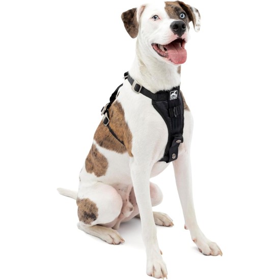 Kurgo Enhanced Tru-Fit Dog Harness, Crash Tested, Car Seat Tether, for Dogs Weighing 34 to 47 kg, Size XL, Black Kurgo Enhanced Tru-Fit Dog Harness, Crash Tested, Car Seat Tether, for Dogs Weighing 34 to 47 kg, Size XL, Black