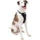 Kurgo Enhanced Tru-Fit Dog Harness, Crash Tested, Car Seat Tether, for Dogs Weighing 34 to 47 kg, Size XL, Black Kurgo Enhanced Tru-Fit Dog Harness, Crash Tested, Car Seat Tether, for Dogs Weighing 34 to 47 kg, Size XL, Black
